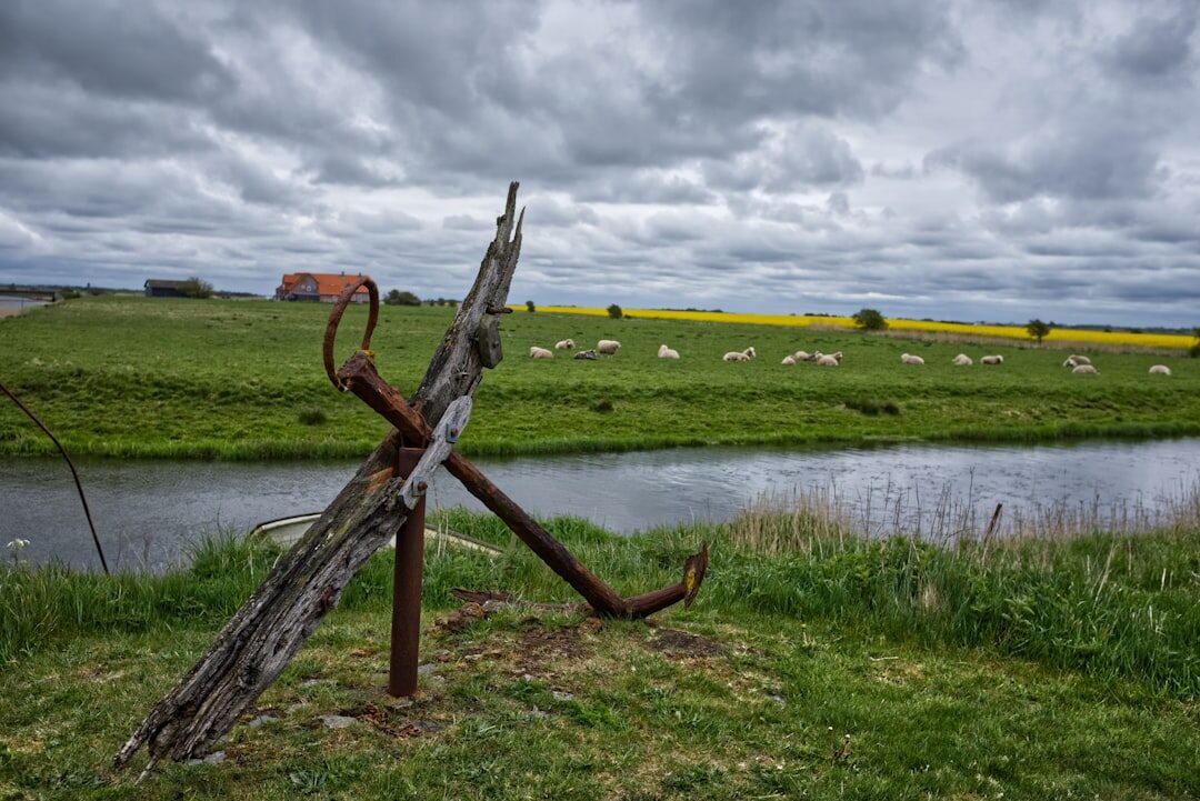 elderly danish farmer