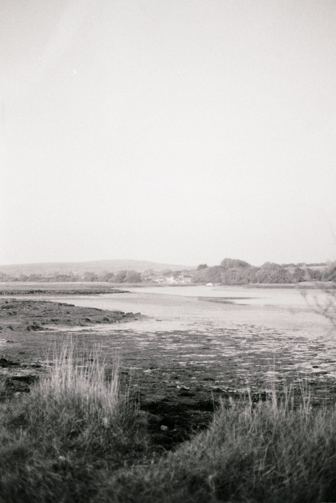vintage danish landscape